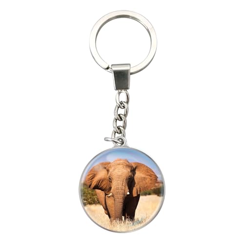 Deluxebase Magnidome Porte-clés en verre de cristal avec dôme animal, anneau en acier inoxydable,...