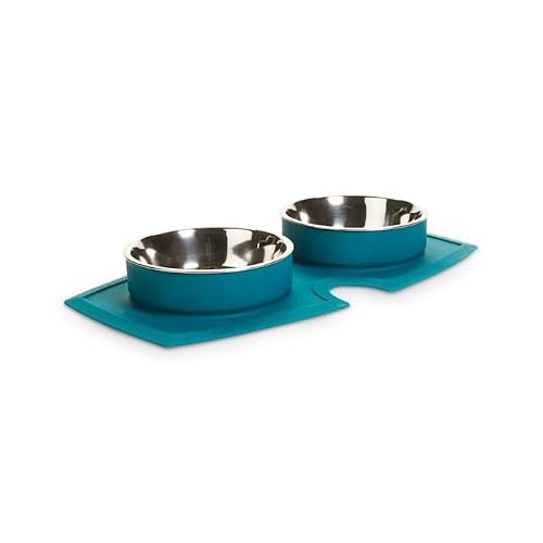 EveryYay by Petco Silicone Double Diner Stainless Steel Dog Bowl Set Teal 2 Cups
