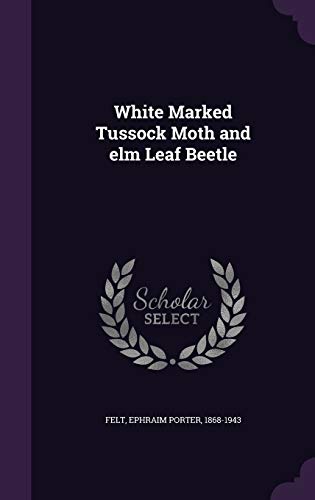White Marked Tussock Moth and elm Leaf Beetle