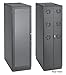 Hoffman PSFD20610BNS Server Cabinet, FloTek FD, No Sides