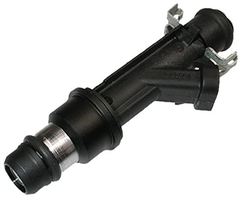 Delphi FJ10066 Fuel Injector