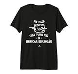 Cat Lovers for Huascar Brazobán Huascar Brazoban Miami MLBPA Premium Tri-blend T-Shirt