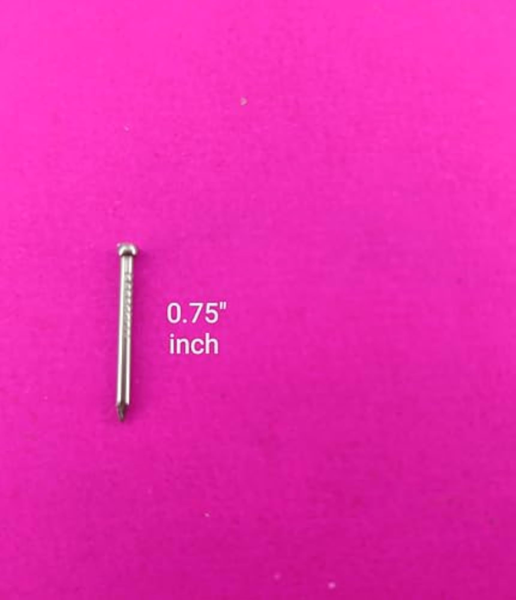 Medium Size Iron Wall Nails for Hanging Photo Frames