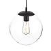 Light Society Zeno Globe Pendant, Clear Glass with Black Finish, Contemporary Mid Century Modern Style Lighting Fixture (LS-C175-BK-CL)