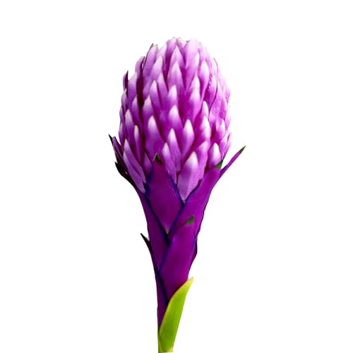 Image of Enhance Your Space with Artificial Leaf Decor Foliage for Stunning Interiors Decorative Items for Home;Office; Room; Living Room; Table; (Without Vase) (Pack of 1, Violet)