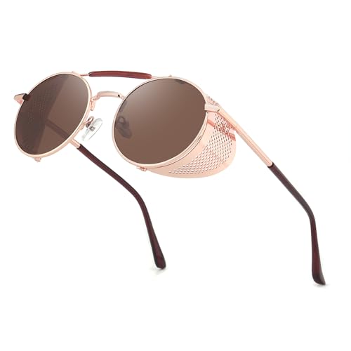 RONSOU Steampunk Style Round Vintage Polarized Sunglasses Retro Eyewear UV400 Protection Matel Frame A8 Golden&brown (Non-polarized) 51 Millimeters