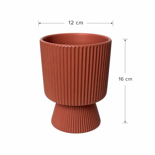 Image of Xtore Bold Pedestal Ceramic Planter Pot for Indoor Plants | Ribbed Elevated Flower Pot for Home, Office Desk & Balcony Decor (Terracotta Red - Planter only)