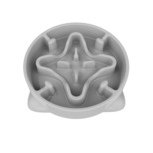 TOKAYIFE Gamelle Anti Glouton Chien Moyen, 22cm Antidérapants Anti Vomissements Gamelle pour Petit Chien Moyen (M, Gris)