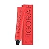 Schwarzkopf Professional Igora Royal Permanent Hair Color, 5-6, Light Brown Chocolate, 60 Gram