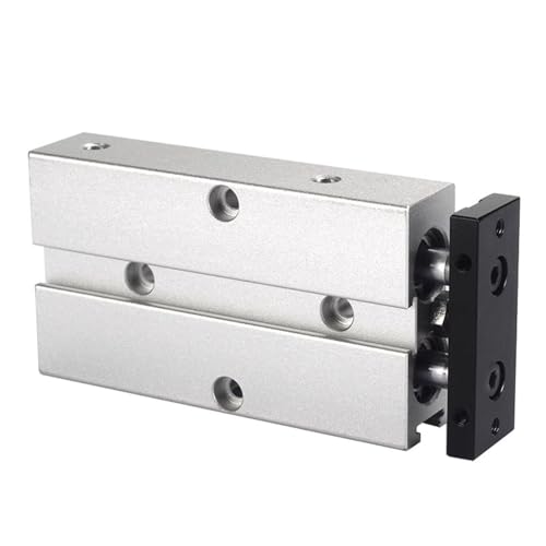 Vérin pneumatique TN25 double tige course 100mm guidé pour automatisme