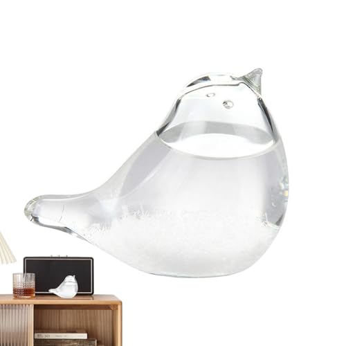 Prédicteur Météo En Verre De Tempête, Bouteille En Verre De Baromètre De Station Météo, Station De Prévisions Météorologiques Pour La Décoration De Bureau À Domicile