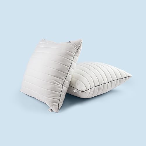Image of SleepStore Granules Soft Cushion for Back & Spine Support, Pack of 2, 24x24 Inch | Multipurpose Adjustable Cushion for Office, Home & Travel | Shredluxe Fill - Blend of Memory Foam & Premium Fiber