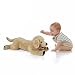Imagen de LotFancy Peluche Golden Retriever Peluche para Perro