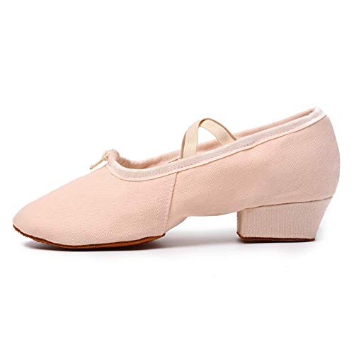 TINRYMX Women Canvas Latin Dance Shoes Ballroom Character Teacher Shoes2