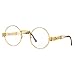 Yvey Vintage Round Steampunk Glasses for Mens and Womens Circle Lennon Hippie Style Eyeglasses (Gold Frame/Transparent Lens)