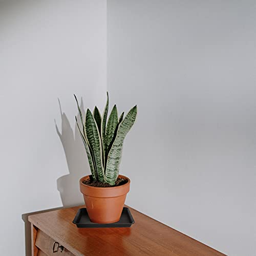 Happyyami Flowerpot Water Trays 10.24X7.09 Inch Plastic Plant Pot Plates Drip Trays for Indoor Outdoor Gardening Plant Protection and Easy Pot Movement - Image 4