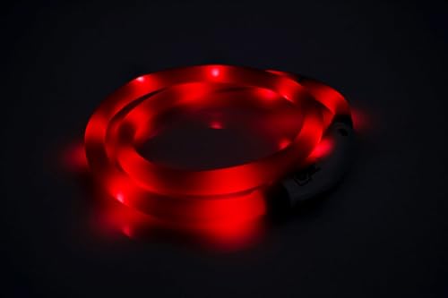 PRECORN LED USB-C Silikon Hundehalsband Halsband Hund Katzenhalsband Leuchthalsband für große kleine Hunde aufladbar