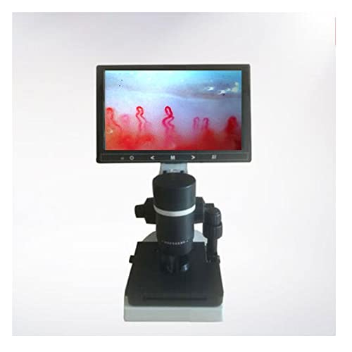 Lbg zofW^tz LCD.IvV\܂ YA_v^[(9inch LCD Box)