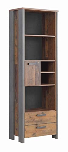 FORTE Clif Regal mit 1 Tür und 2 Schubladen, Holzwerkstoff, Old – Wood...