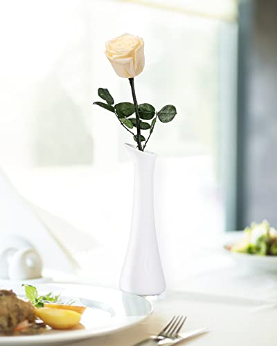 Image of Champagne Flowers for Delivery Prime, Preserved Champagne Roses Flower Gifts for Women, Real Roses Single Rose Gifts for Her, Mom Birthday Gifts from Daughter, Valentines Flowers