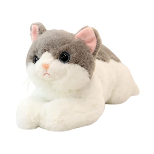 SIzlaho L lR A ʂ   NbV  ӂӂ CeA v[g L L g OєL   Aj} 􂦂 L lRʂ YQ  J[4 50cm Əj  