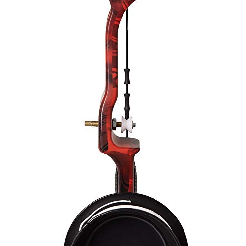 Cajun Fish Stick TakeDown Bowfishing Bow Set Includes Drum Reel with