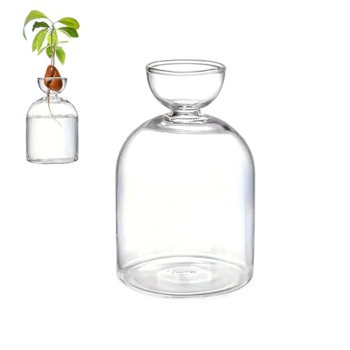 Colorful Avocado Seed Hydroponic Vase, Glass Avocado Sprout Planter Vase, Avocados Tree Propagation Container, Landscape Bottle for Water Plants Gardening Lovers Home Decor