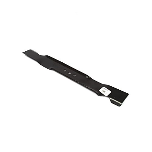 Briggs & Stratton 880638BZYP 19