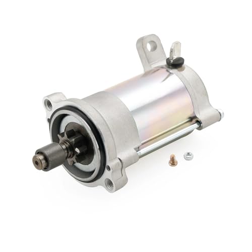 Démarreur moteur pour 300F 2006-2009 lanceur électrique pièces rechange