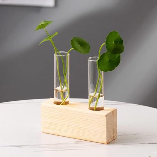 Image of ecofynd Test Tube Planter with Wooden Holder, Air Planter Glass Vase Holder with 2 Test Tube, Home Decor Hydroponic Plant Stand for Table Top, Desktop, Living Room, Office (TTP002)