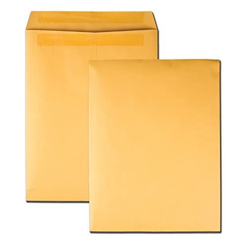 Quality Park 10 x 13 Catalog Mailing Envelopes, Redi-Seal Self Seal Envelope Closure, Durable 28 lb Kraft Paper, 250 per Box (QUA43762), Light Brown