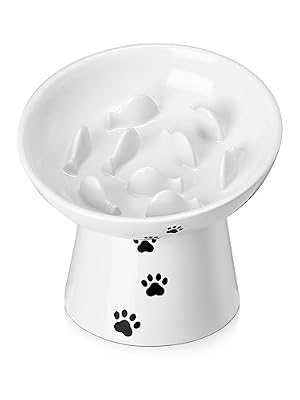 Y YHY Slow Feeder Cat Bowl, Ceramic Cat Slow Feeder Bowl, 6 Inches, Elevated, Anti Vomiting for Dry and Wet Food, White