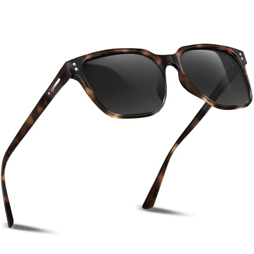 DADA-PRO Sonnenbrille Herren Polarisiert Damen Sonnenbrille Retro Verspiegelt Polarisierte Brille UV400 Schutz Classic Sunglasses Men Women für Angeln Fahren