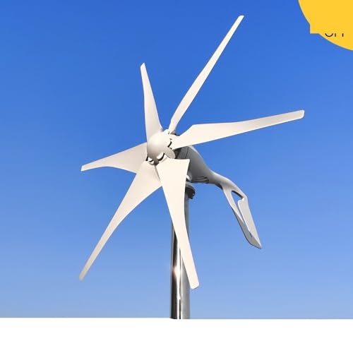 800W 1000W 12V 24V ̓^[rd@ SZbg  MPPT/[dRg[[ ^d@ dC(1000w 6 Blades,Off Grid System,48v)