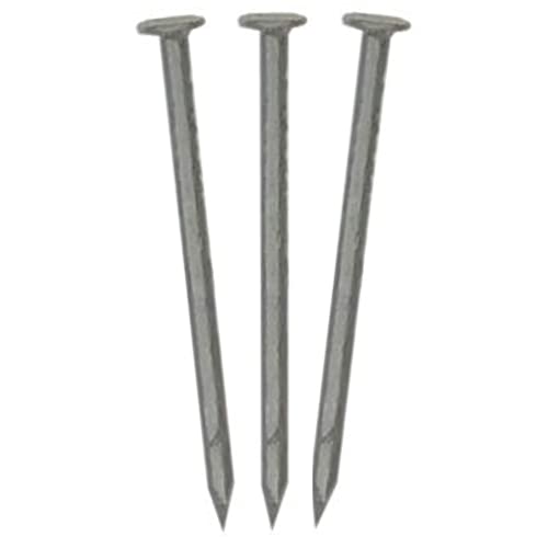 Eagle 1 Smooth Shank 304 Painted Stainless Steel Aluminum Fascia Cover and Siding Nails -1lb Boxes, 1.25 inch, about 600 nails per box (1LB TUXEDO GREY)