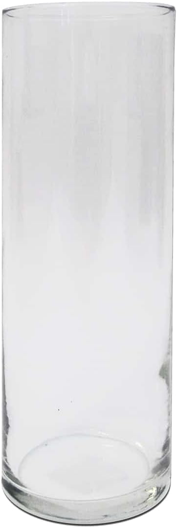 Crisa Glass Cylinder Vase 10 in. (6 Piece)