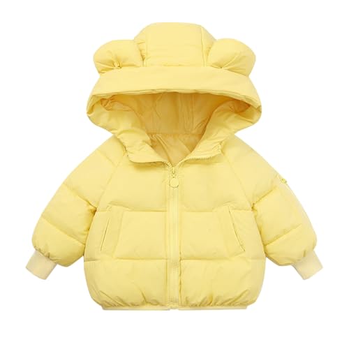 Toddler Winter Coat for Girls Down Thermal Fleece Bear Hooded Kids Puffer Jacket Zip Up Cuffed Long Sleeve Fall Coats