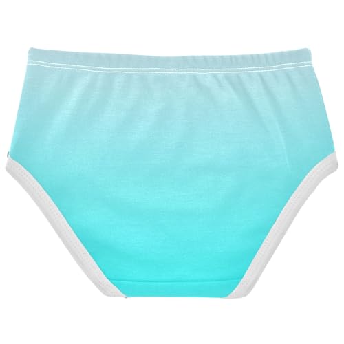 Joisal Magnolia Cyan Gradient Ombre Toddlers Underwear Floral 2t Cotton Panties Little Girl Durable Kids Undies Briefs2