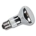 Produktbild Star Trading E27 LED-Reflektorstrahler R63, 4W, warmweiß, 230V, 300lm, 230V, Leuchtwinkel 180°, Klarglas-Leuchtkörper, Filament LED, dimmbar