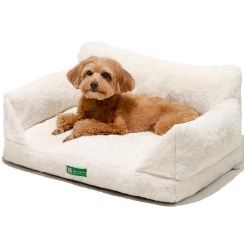 MEWOOFUN Katzen Sofa Katzenbett für Wohnungskatzen, Niedlich Kätzchen Bett Haustiersofa mit abnehmbarem, waschbarem Bezug und Rutschfester Unterseite für kleine Hunde (Weiß, M)