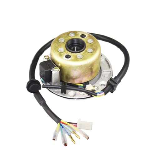 Stator de démarrage W155cc pour des sorties sans panne en Pit Bike