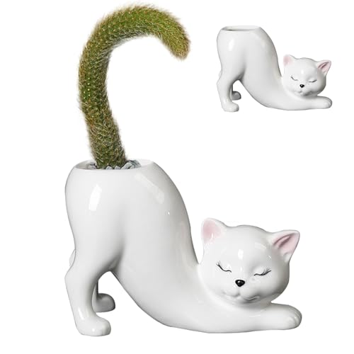 Macetas Suculentas, Macetas de Interior, Macetas para Plantas de Jardineras para Gatos, Lindas Jardineras para Gatos, Jardineras para Gatos para Plantas Interiores Exteriores, Suculentas