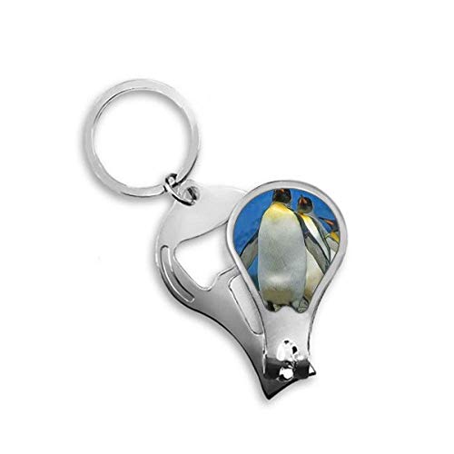 Coupe-ongles manchots de l'Antarctique accessoire manucure science