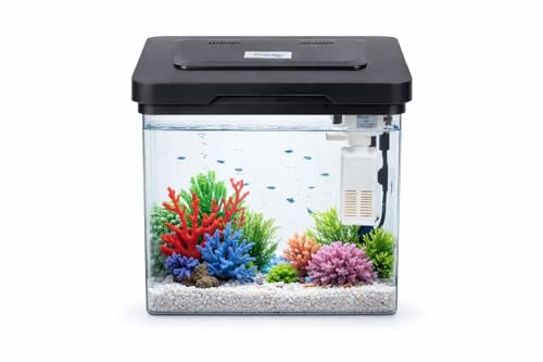 Image of Fish Tank Starter with Filter, LED Light & | Mini Aquarium Set for Home & | Acrylic Not Suitable for Goldfish Ideal for Betta /Guppy (1-2) Liter 7 Size- H 28 -W 19-L 26 Woter Change 3-5 Day