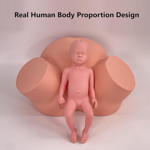 Modelo de demostración de simulador de nacimiento para entrenamiento avanzado de partería y educación de enfermería en obstetricia y ginecología