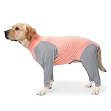 Yoyoxinfish Dog Recovery Suit for Dogs,Prevent Licking Wounds,After Surgery Female Male Medium Large Dog Neuter Spay,Dog Pajamas Long Sleeve,Dog Bodysuit Prevent Shedding (Pink, Large)