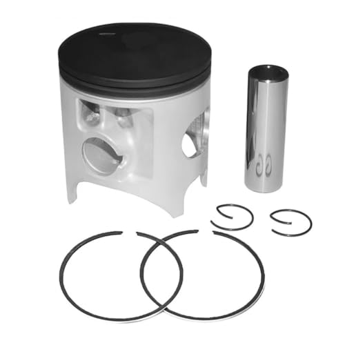 Kit cylindre piston segments 66.4mm Suzuki RM250 pièces moteur moto cross CR250