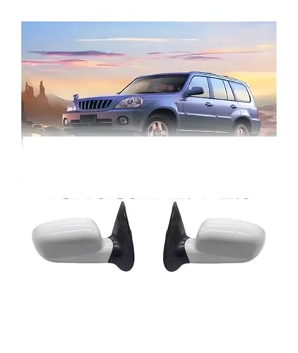 Rétroviseur extérieur gauche brisé pour Hyundai Terracan solution 87630-H1001