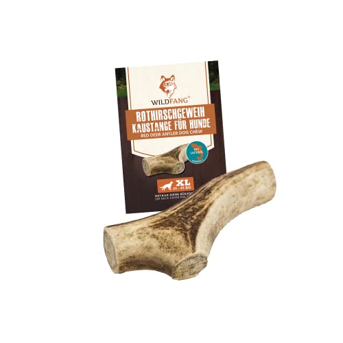 Wildfang® Bois de cerf rouge avec huile de saumon pour chiens I Os à mâcher pour chiens,Soins dentaires pour chiens,Entraînement des muscles à mâcher,Bâton à mâcher durable en bois de cerf,Taille XL Cover