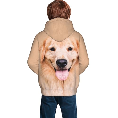 Golden Retriever Aesthetics Boy, Girls Sports Shirt Youth Pullover Fashion Hooded Sweatshirt2